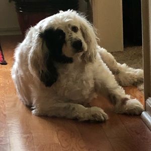 Meet your Posher, Kelli